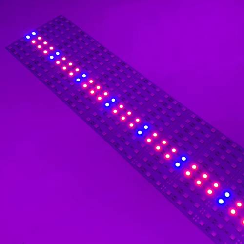 Listwa LED Światło dla Wzrostu Roślin - Plant - 3:1 - czerwony - niebieski - 5050 PREMIUM 12V | 100 cm